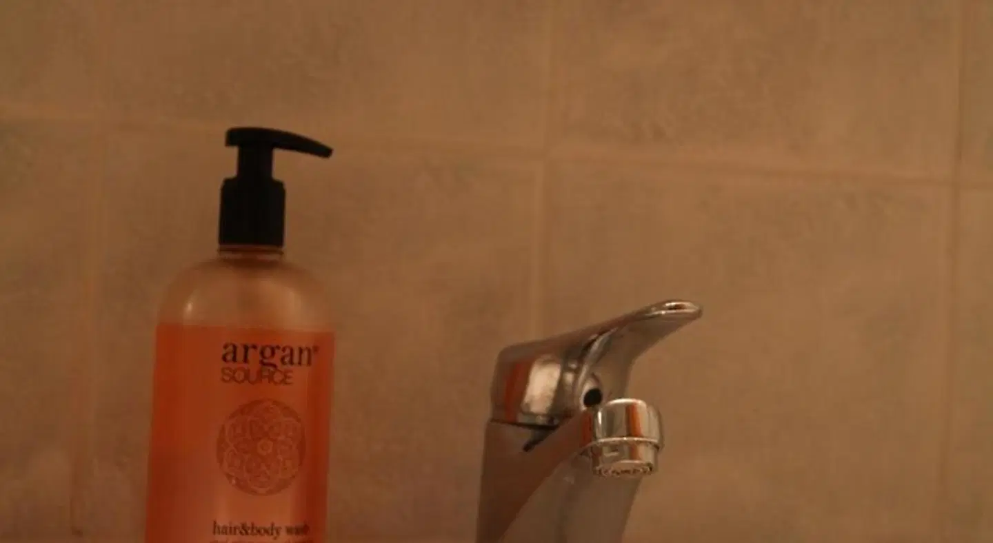 Hotel Schützen Tiere