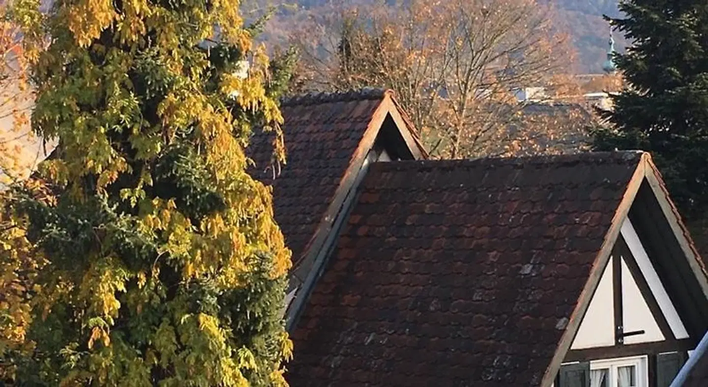 Grüne Bettlad EXTERIOR