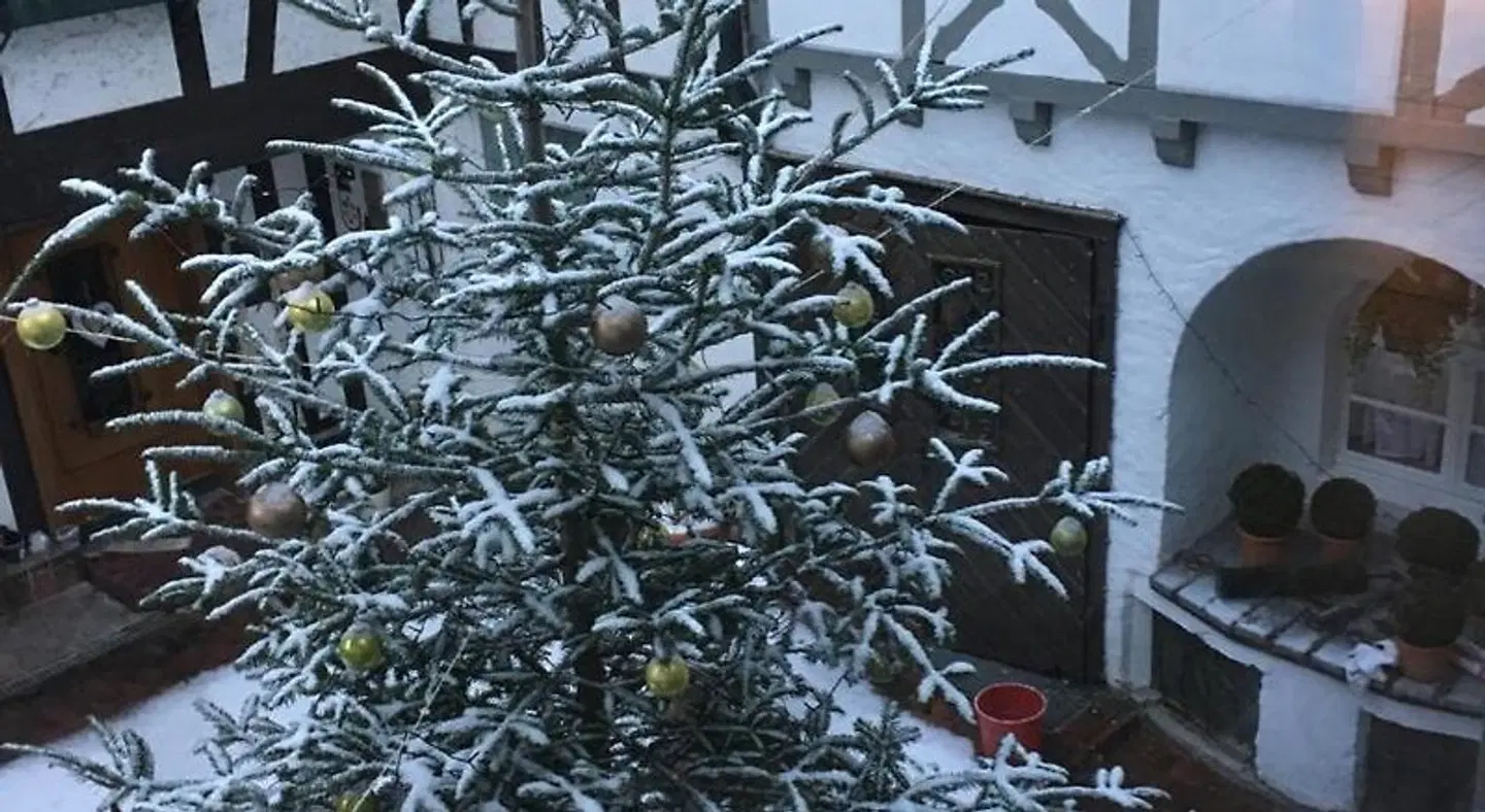 Grüne Bettlad LANDSCAPE