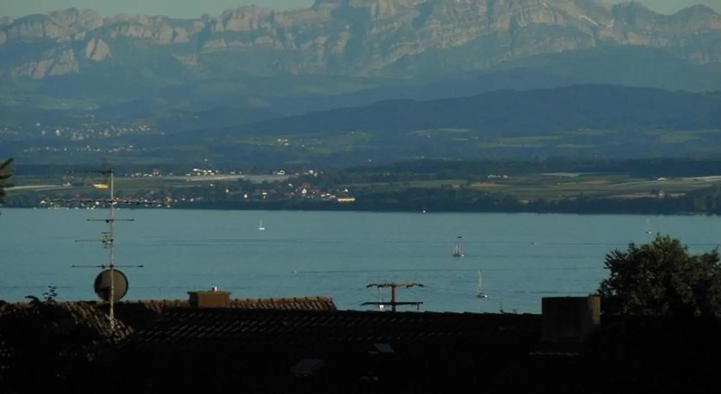Grüner Baum LANDSCAPE