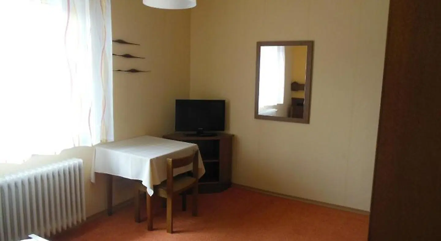 Grüner Baum ROOM_EXAMPLE