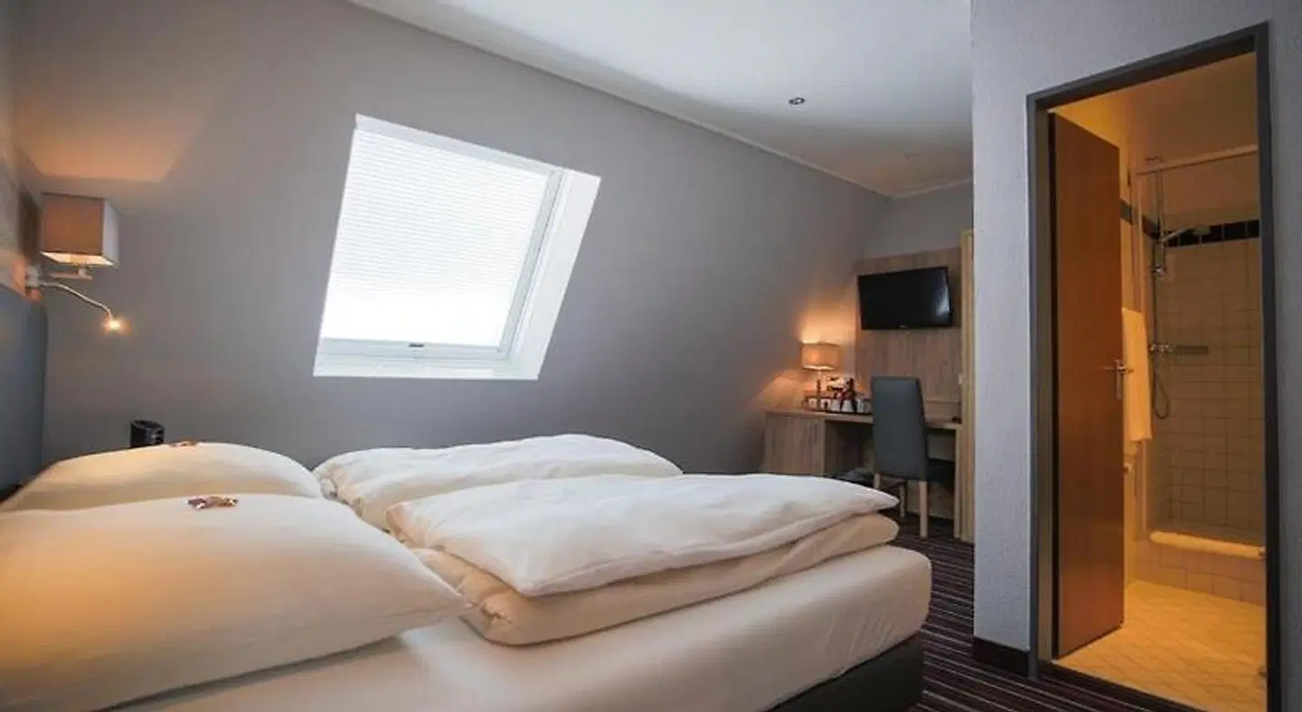 Hotel Suderelbe ROOM_EXAMPLE