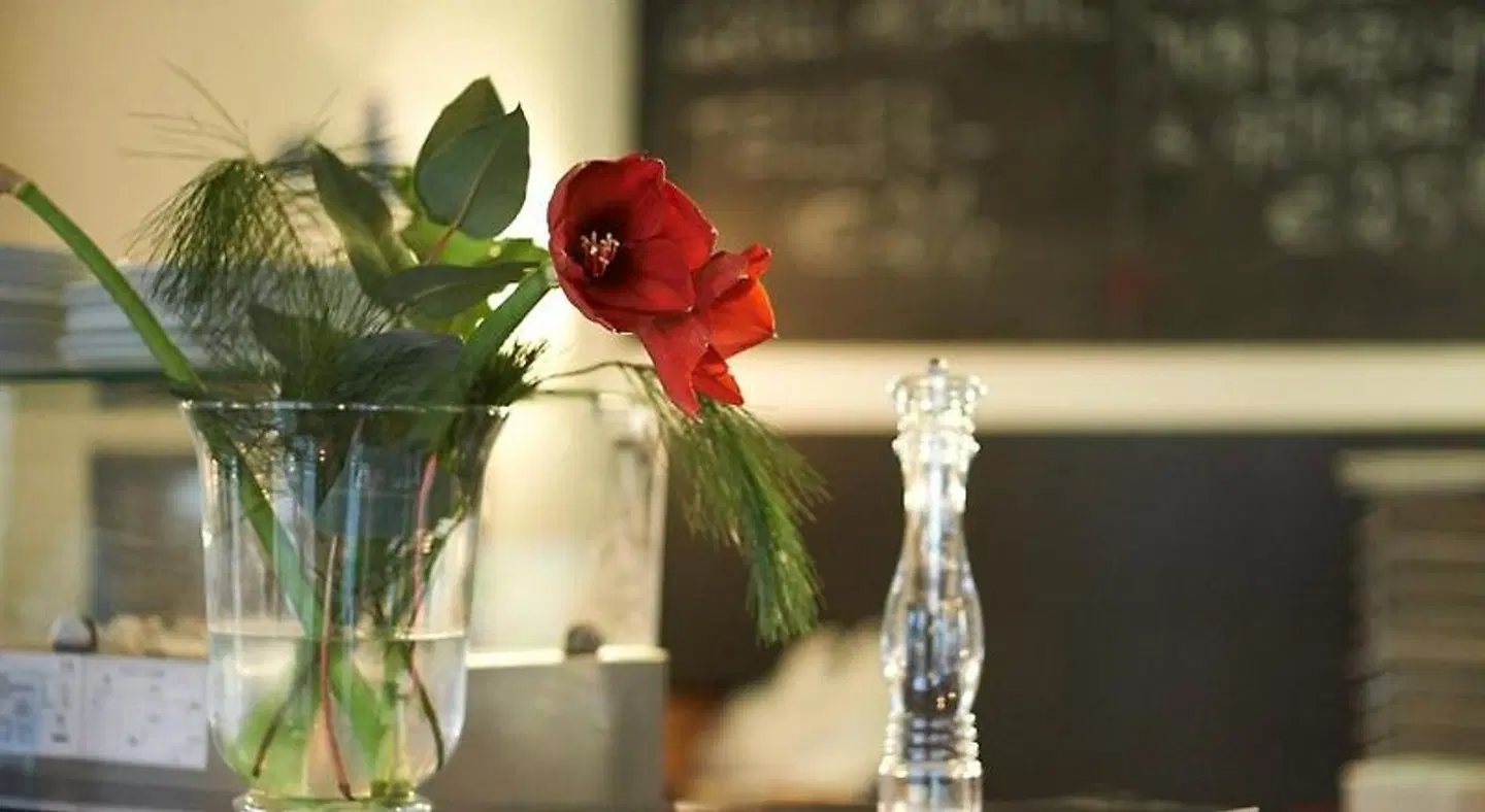 Hotel Dolce Vita Tiere