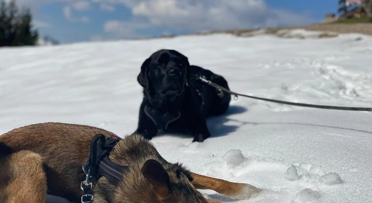 Hotel Casa Maria Tiere