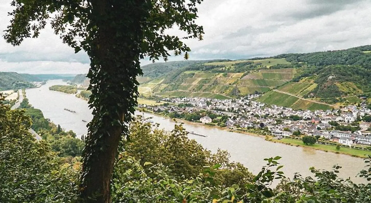 Leutesdorfer Hof LANDSCAPE