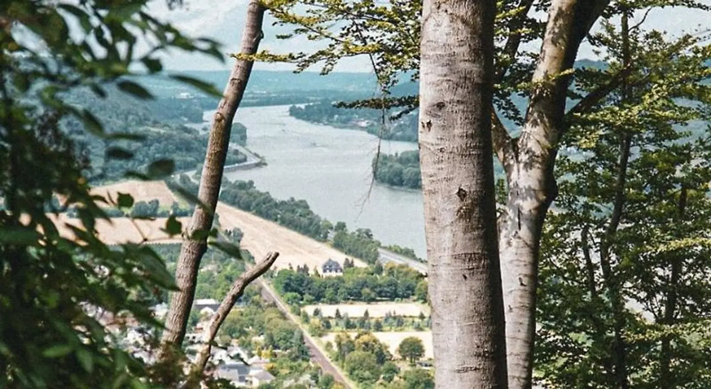 Leutesdorfer Hof LANDSCAPE
