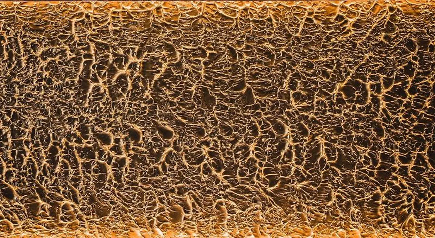 Hotel Boutique am Schloss Tiere