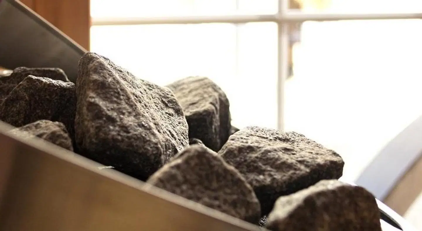 Strandvilla Seelust Tiere