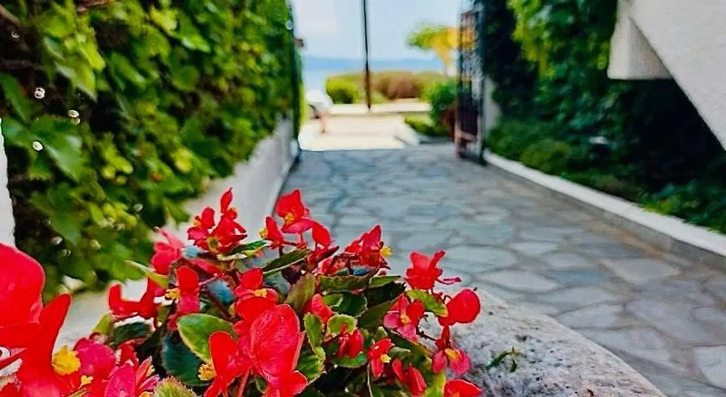 Argo Apartments Garten