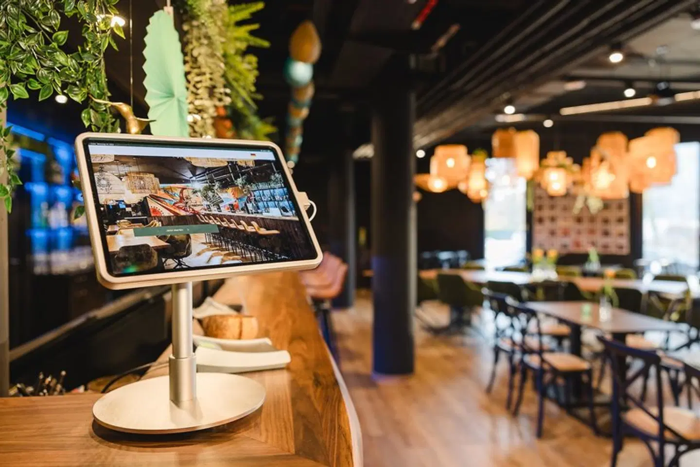 Rioca Stuttgart Posto 6 Bar