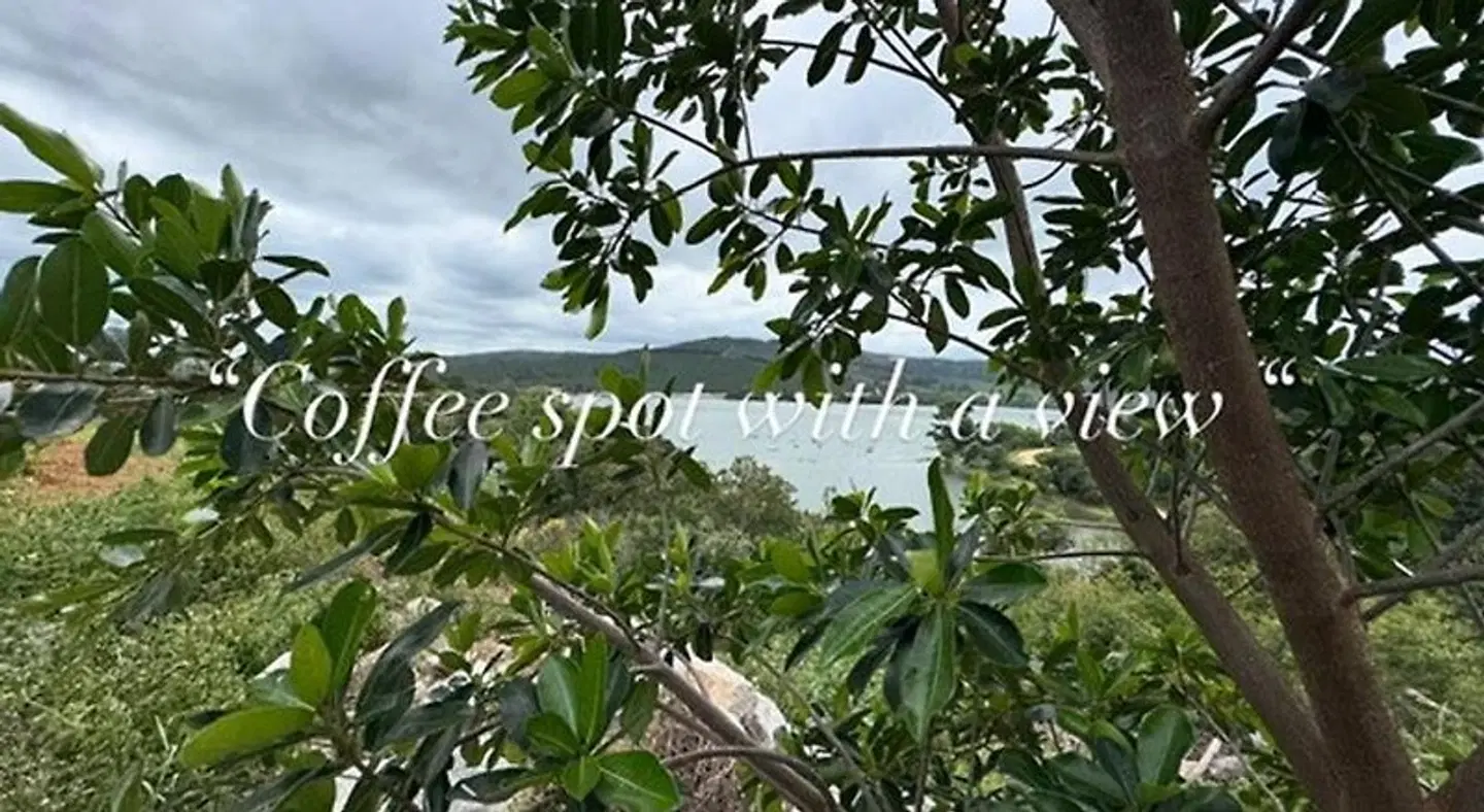 Plumbago Guest House Garten