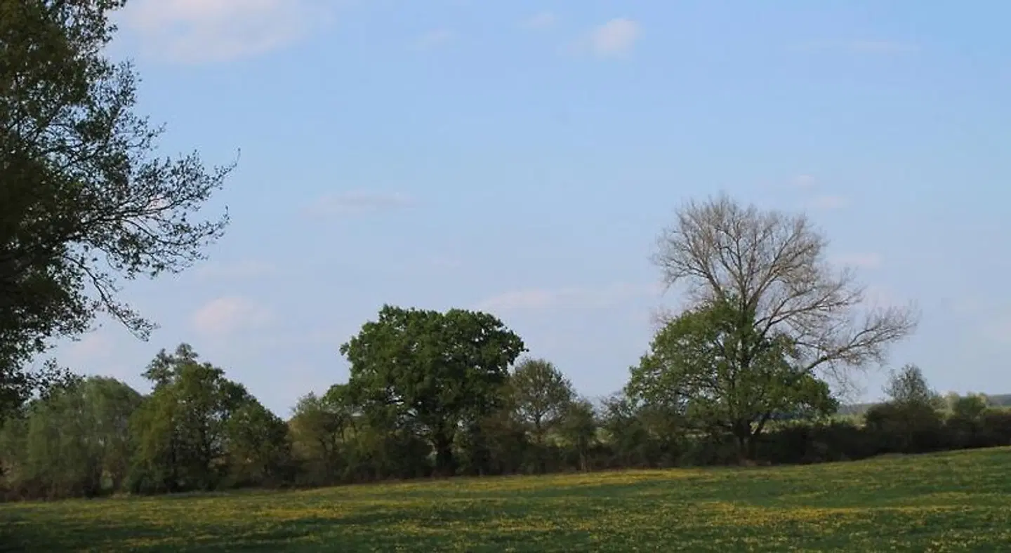 Alandblick LANDSCAPE