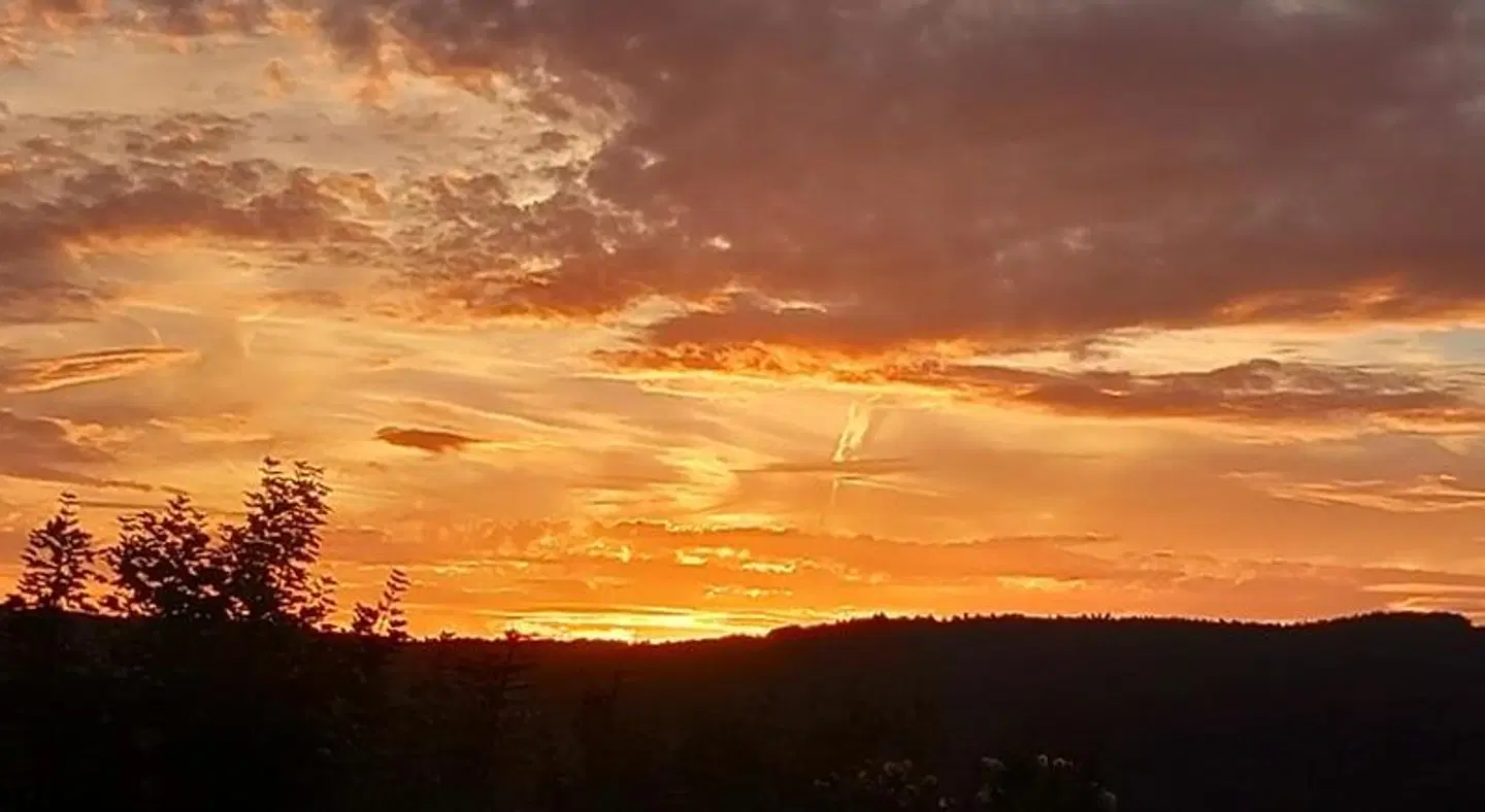 Petrisberg LANDSCAPE