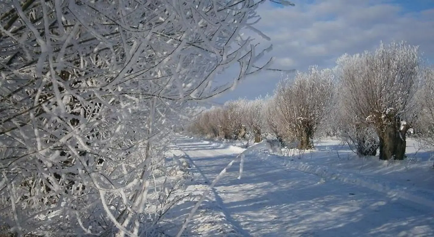 Pakaln's vingis LANDSCAPE