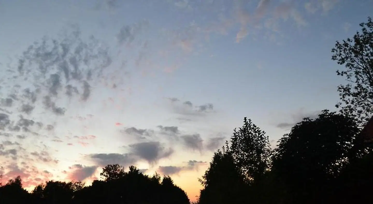 Pakaln's vingis LANDSCAPE