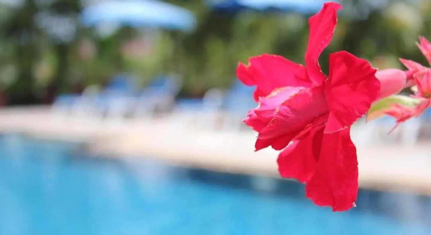 Baan Vanida Garden Resort LANDSCAPE