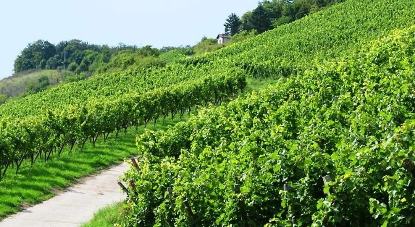 Heitlinger Hof LANDSCAPE