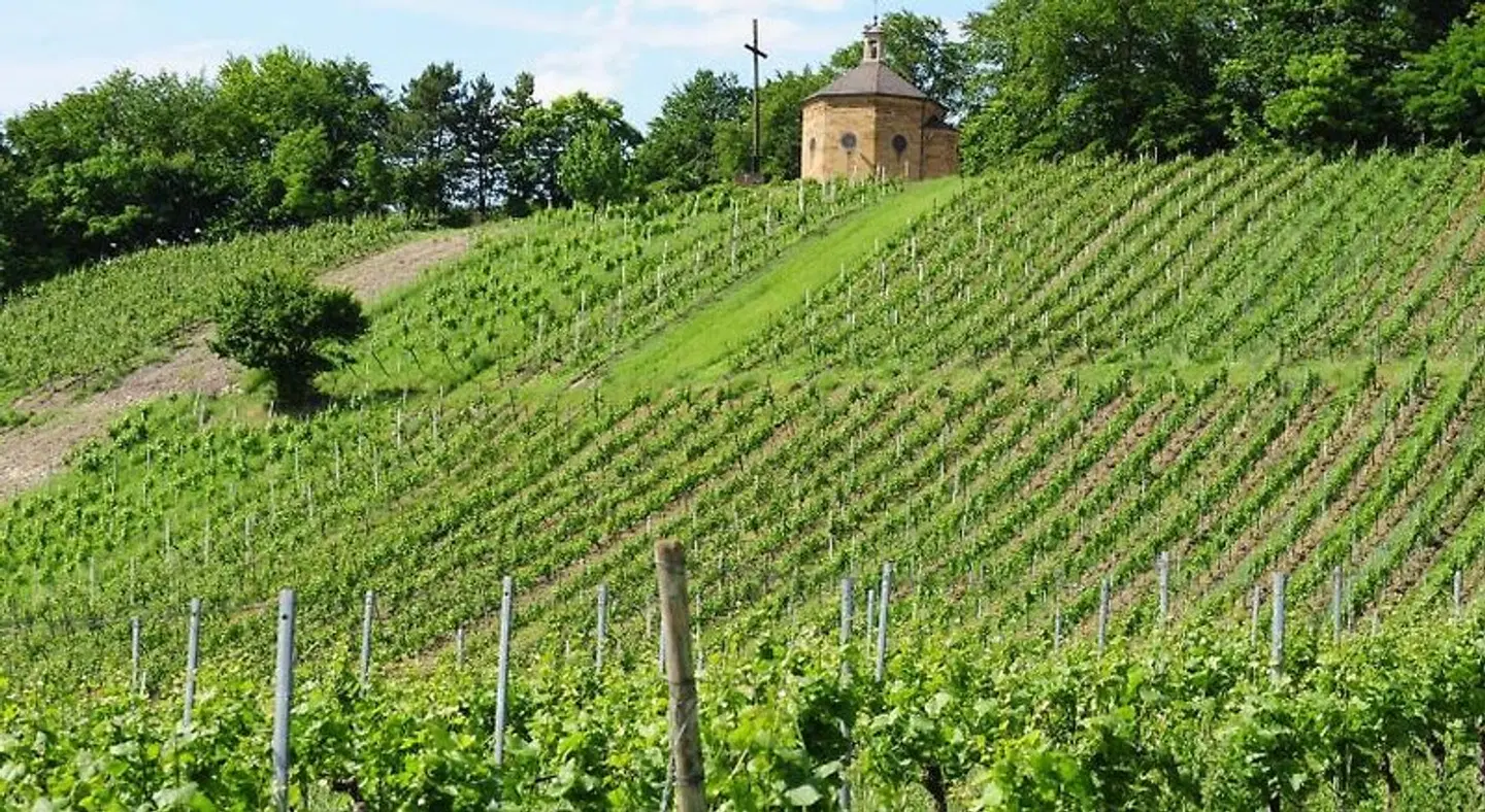 Heitlinger Hof LANDSCAPE