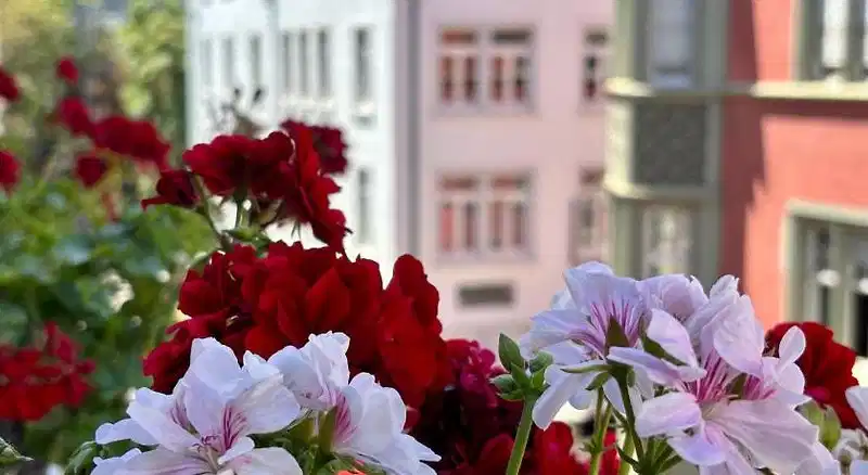 Barbara – Hotelfoto
