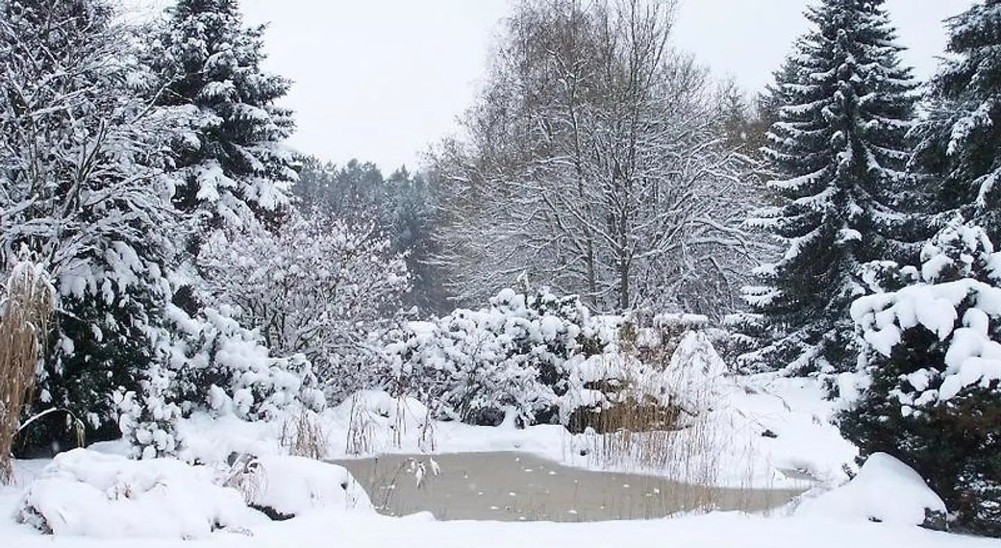 Wilhelmshöhe LANDSCAPE