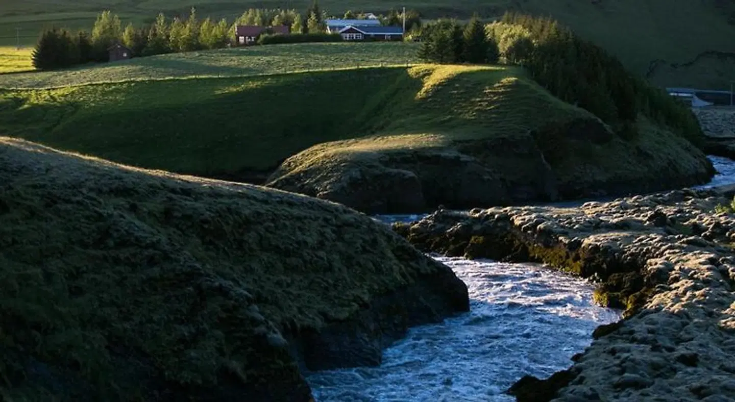 Hunkubakkar Guesthouse Tiere