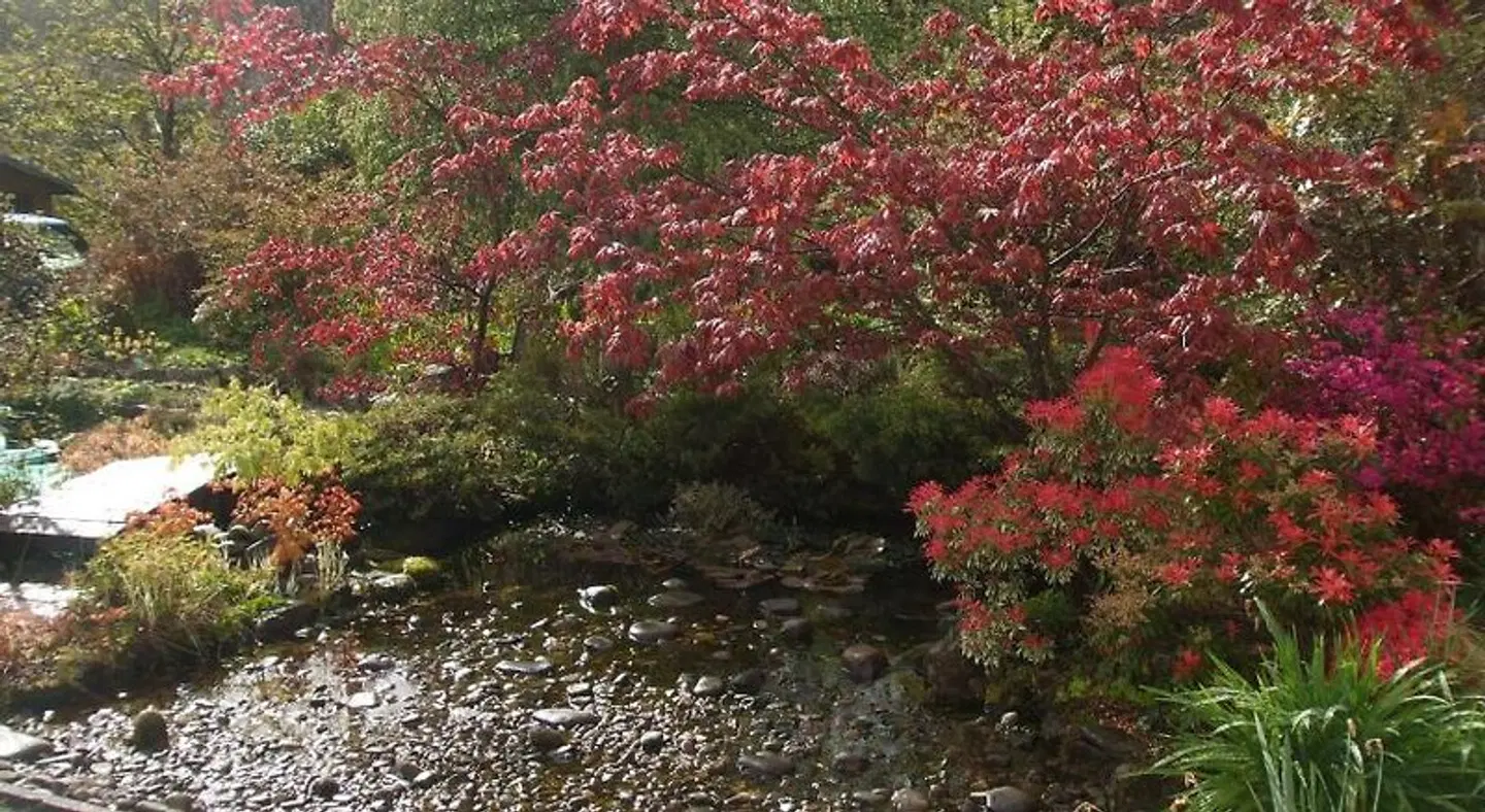Cwmbach Guest House Garten