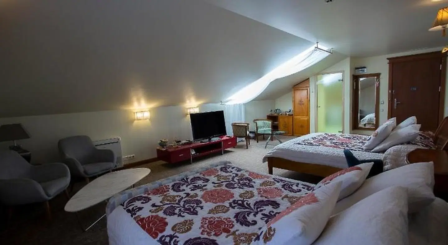 Pazaislis Park ROOM_EXAMPLE