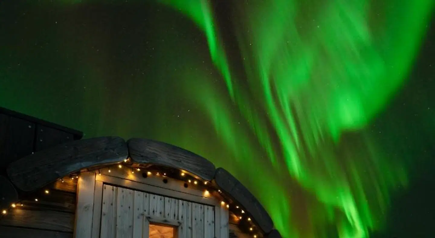 Midgard Base Camp Tiere