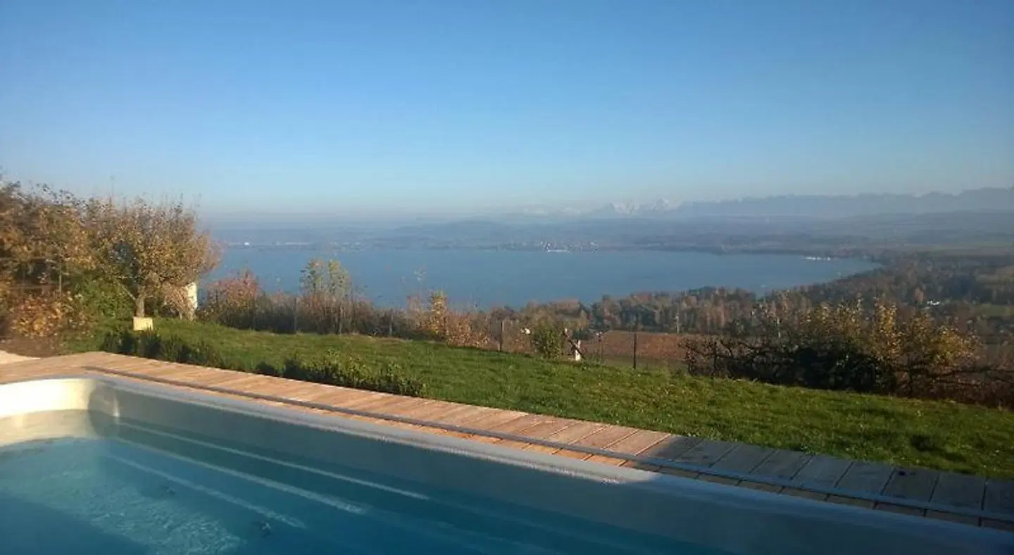 Swiss Borzoi House LANDSCAPE