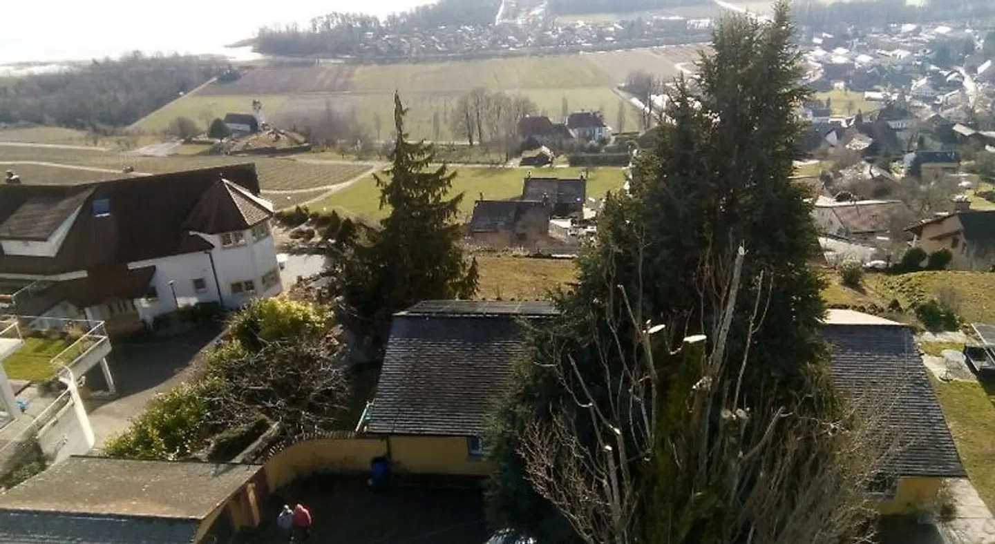Swiss Borzoi House LANDSCAPE