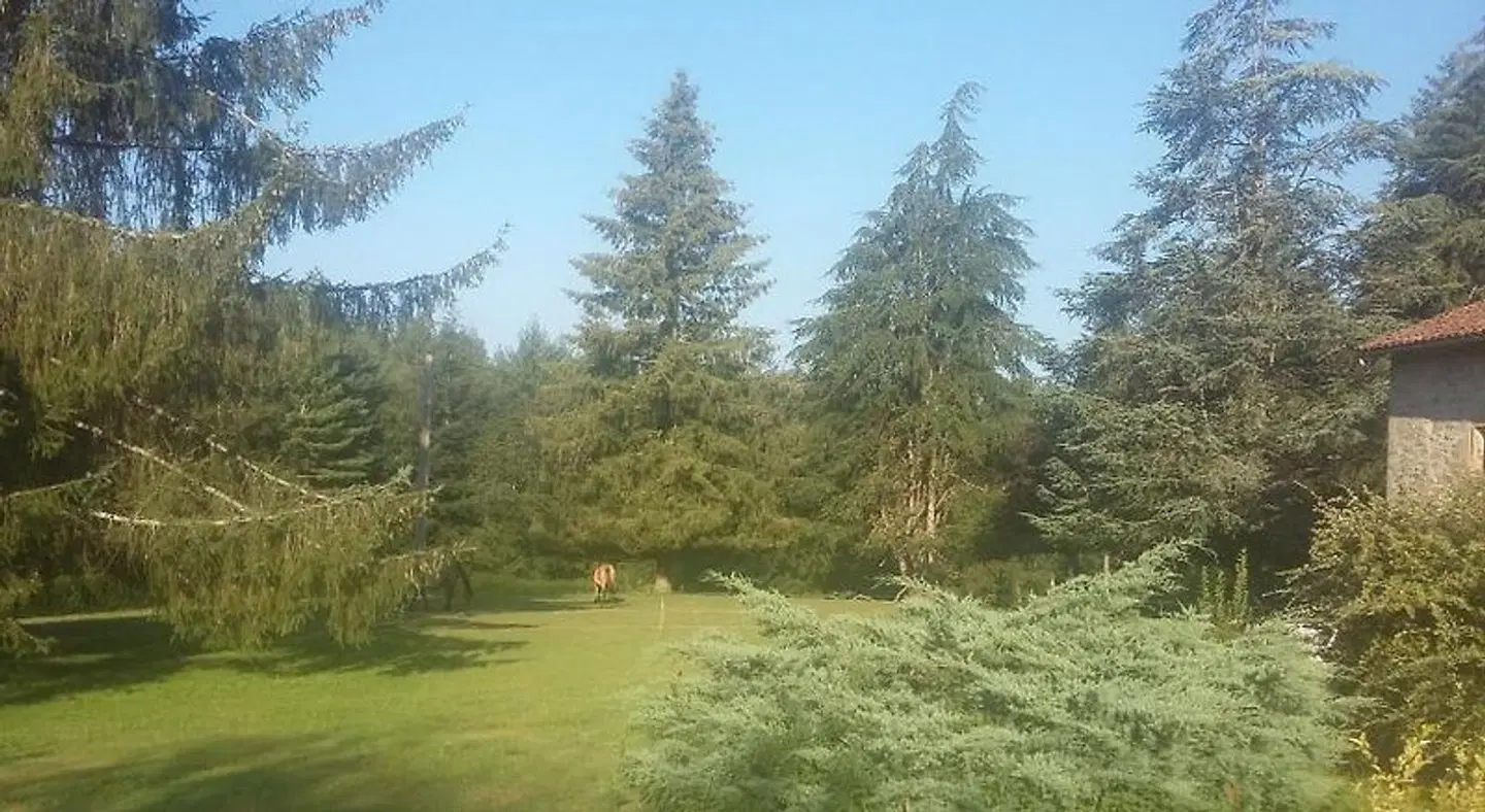 La Roussilhe LANDSCAPE