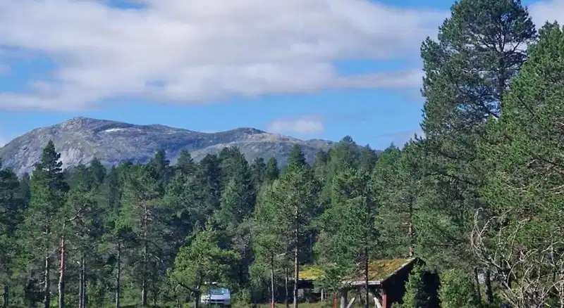 Hov Hyttegrend – Hotelfoto