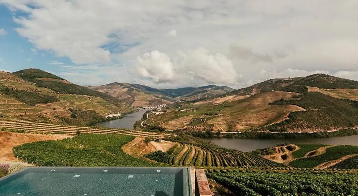Ventozelo Hotel & Quinta LANDSCAPE