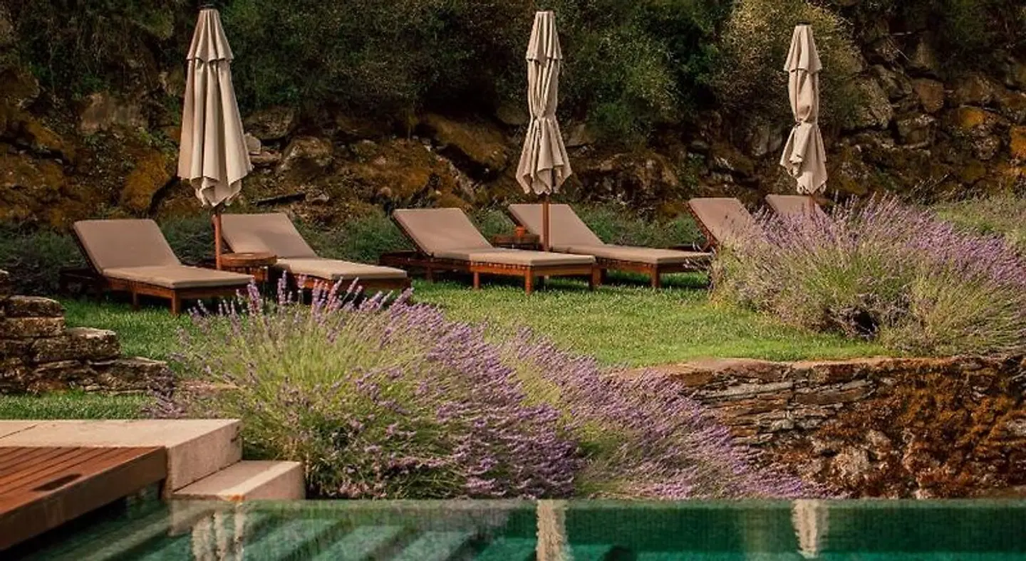 Ventozelo Hotel & Quinta Garten