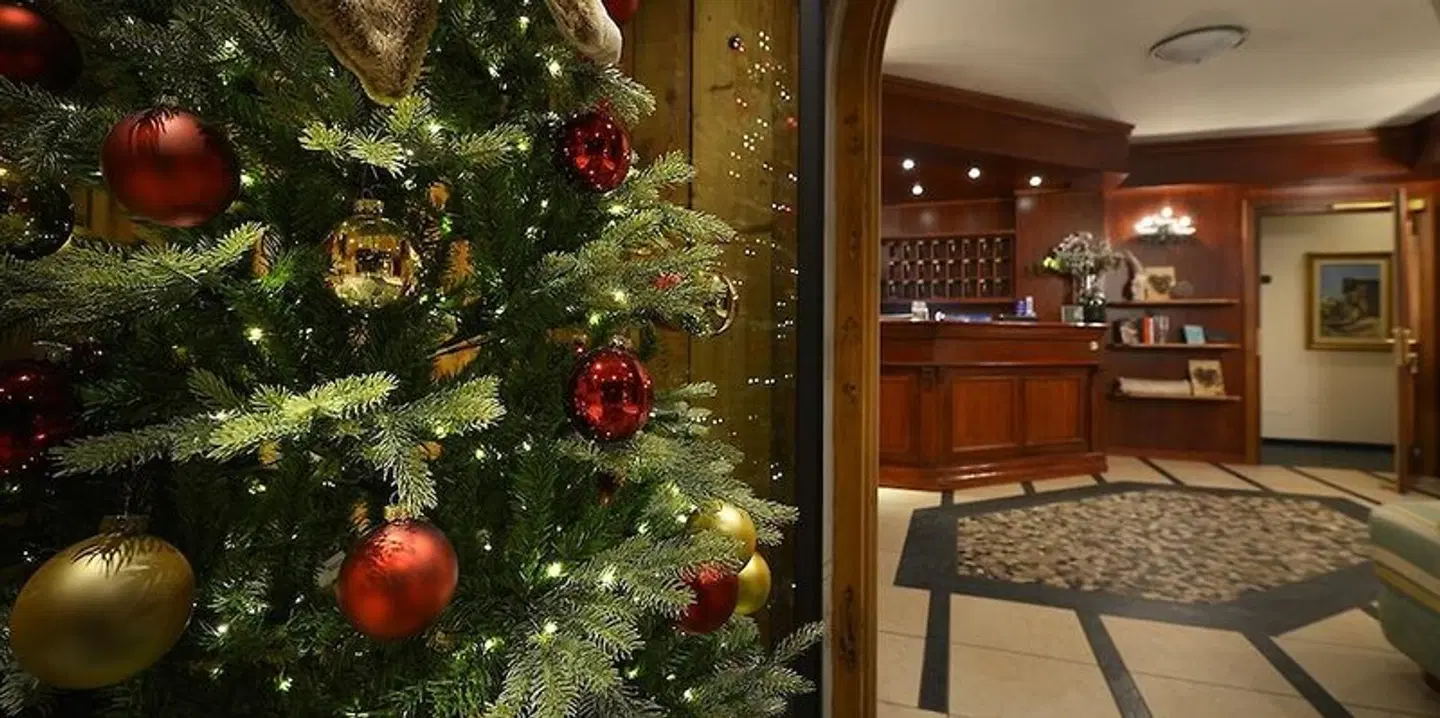 Hotel Primula LOUNGE_LOBBY
