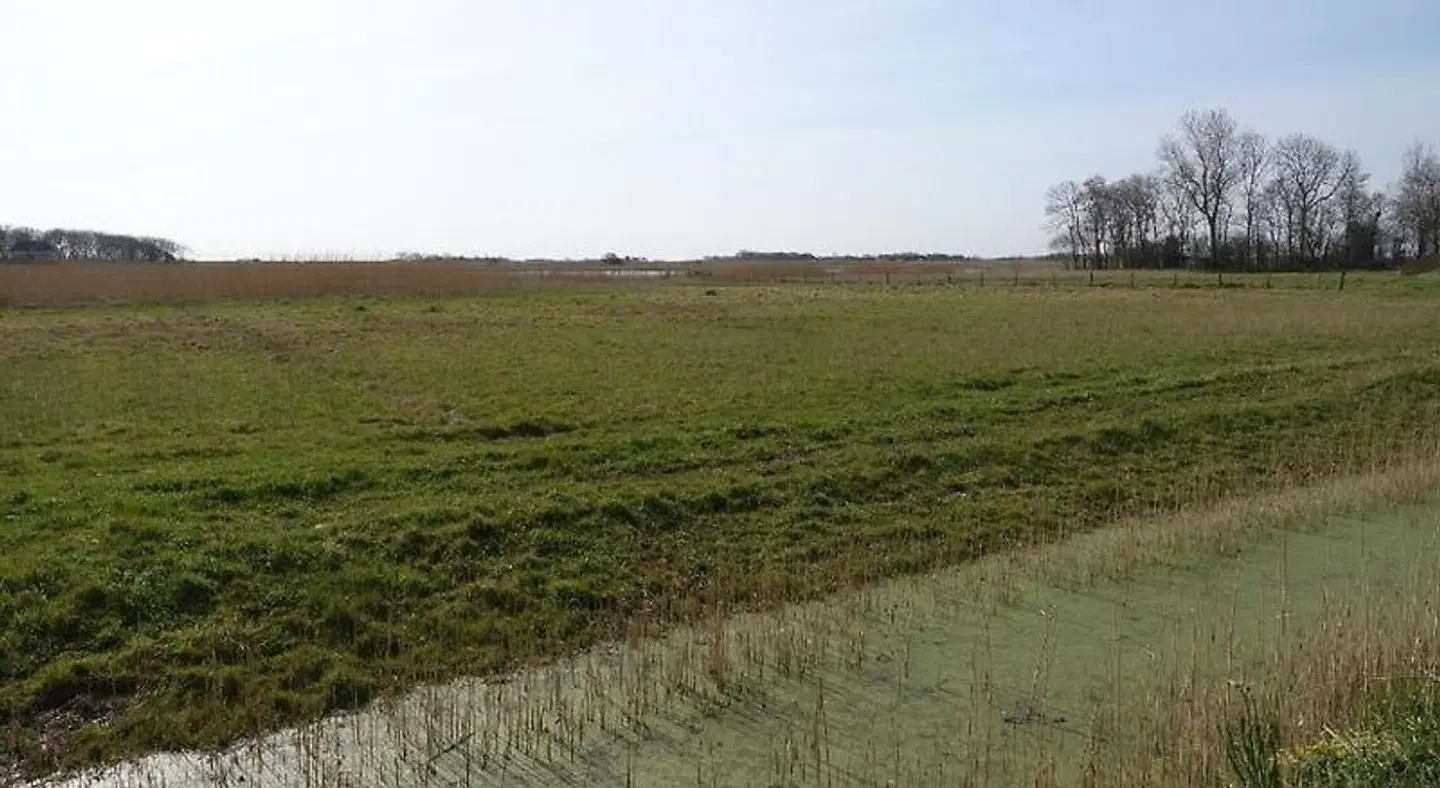 Hotel het Anker van Texel LANDSCAPE