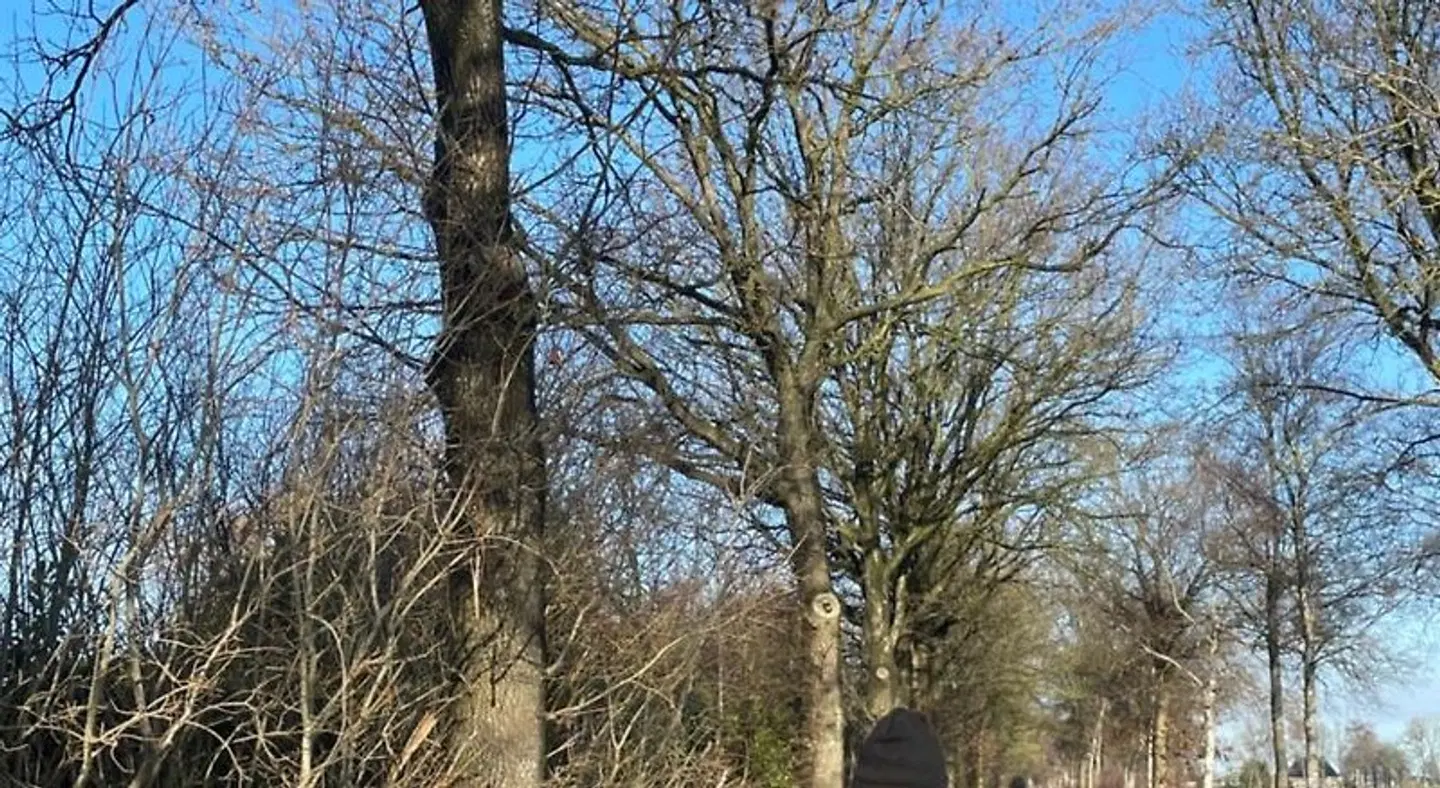 De Fugelsang LANDSCAPE