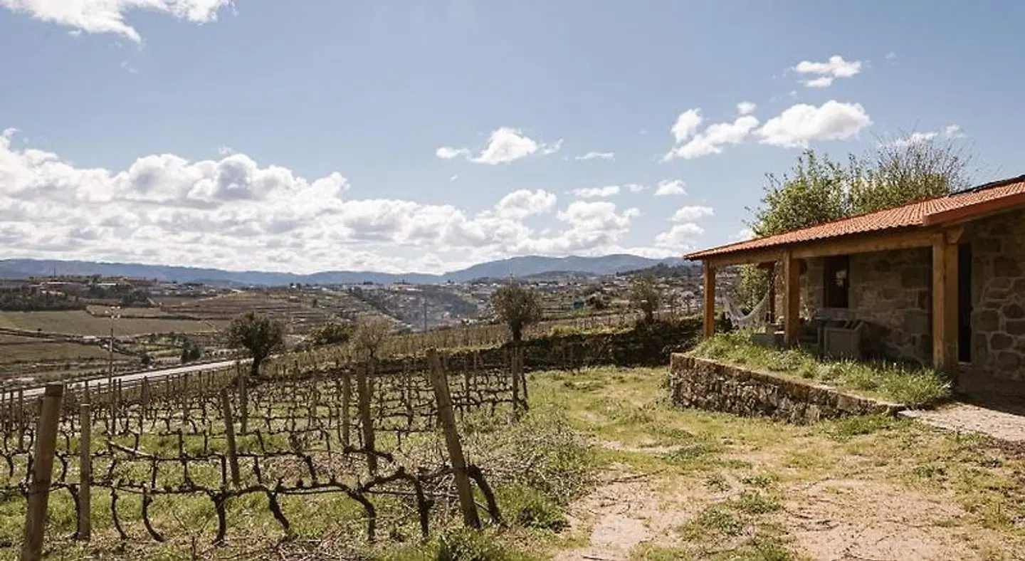 Quinta da Portela - Casa Visconde Arneiros Garten