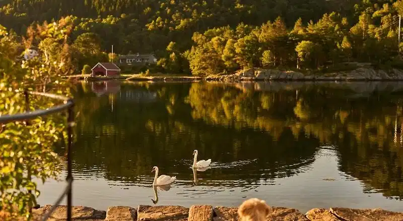 Farsund Resort – Hotelfoto