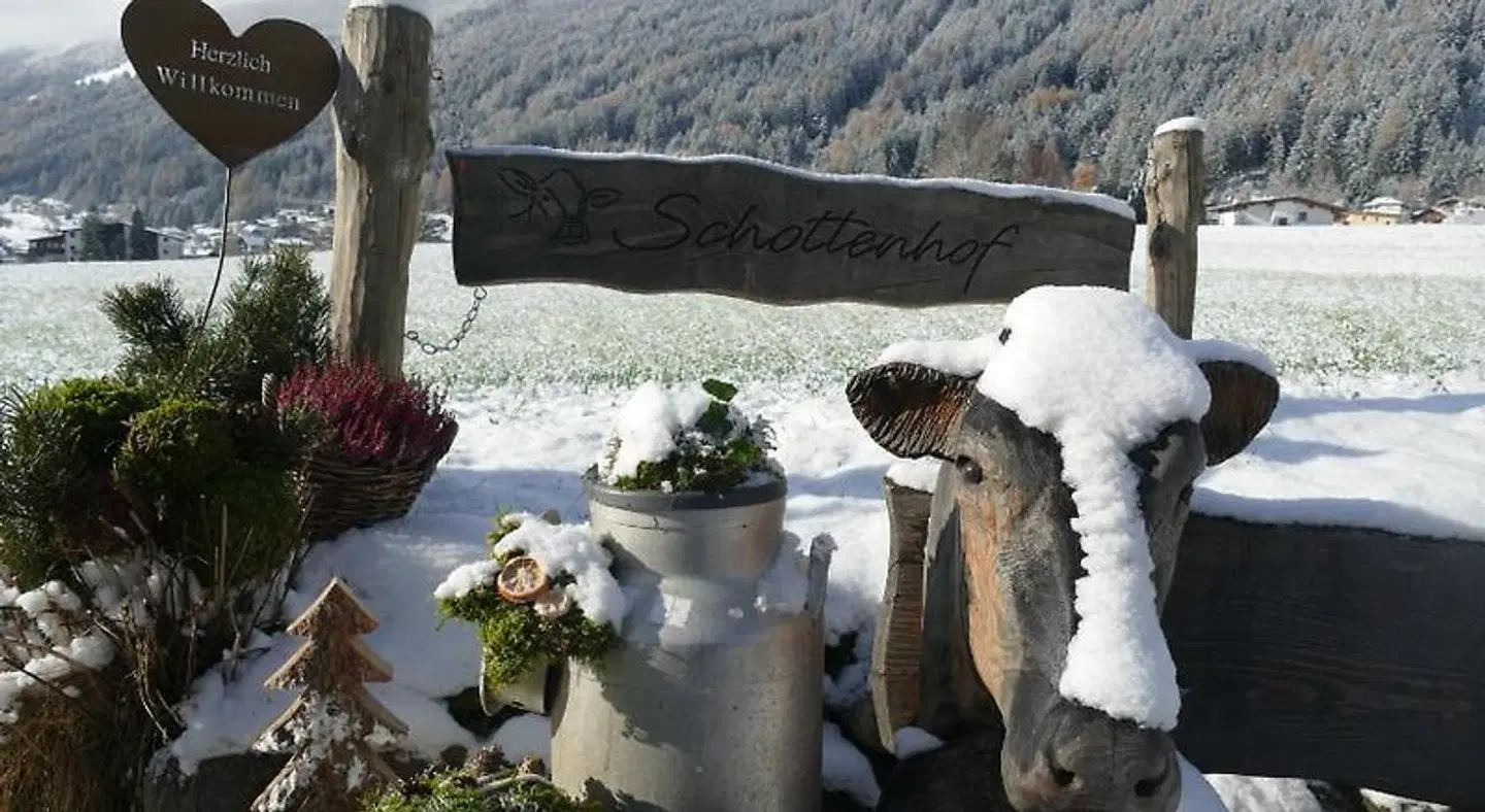 Pension Schottenhof Tiere