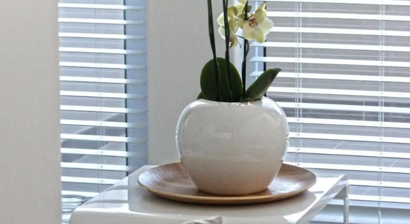 Swakopmund Luxury Suites HEALTH_BEAUTY