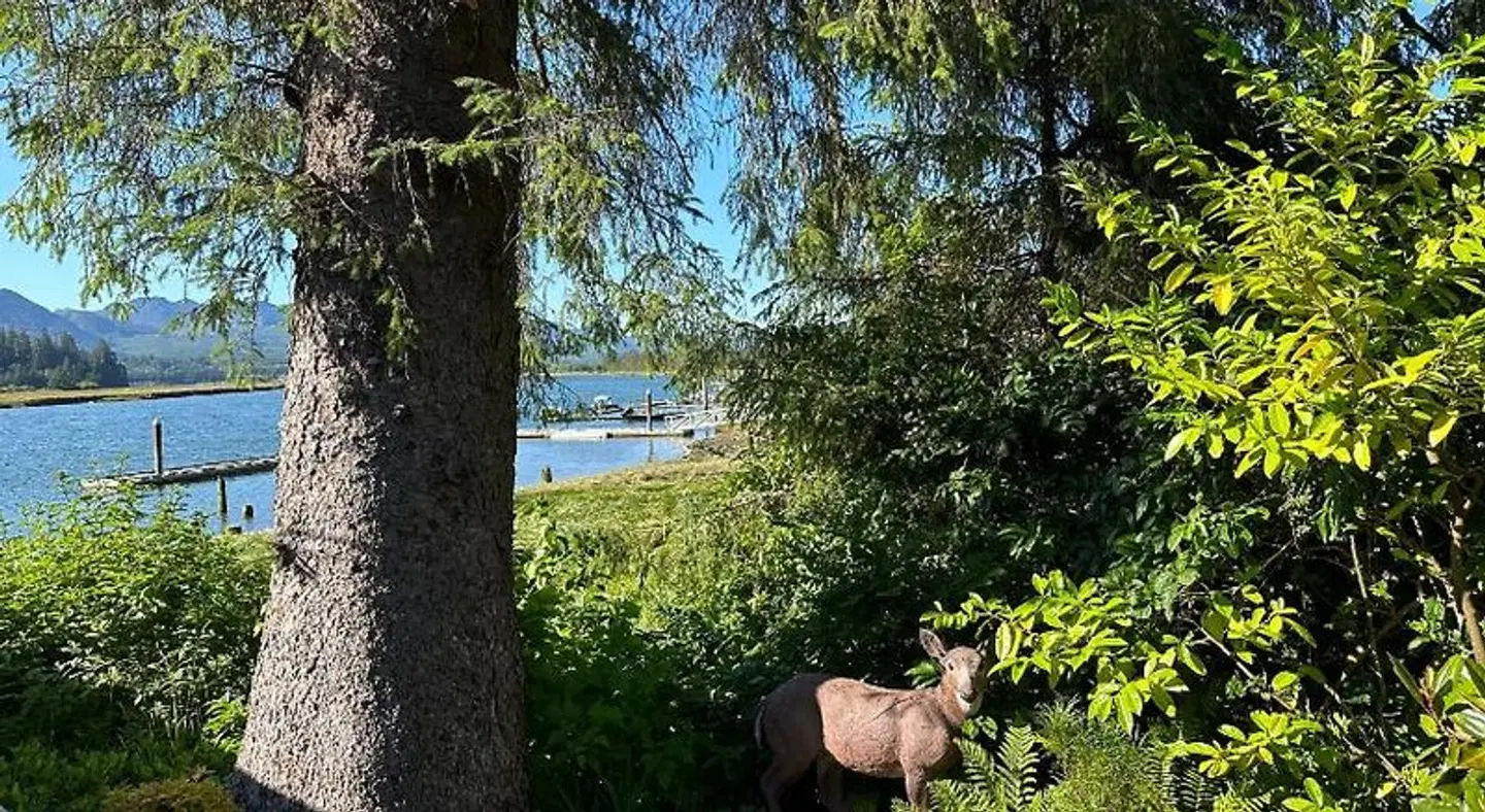Wheeler on the Bay Lodge & Marina Tiere