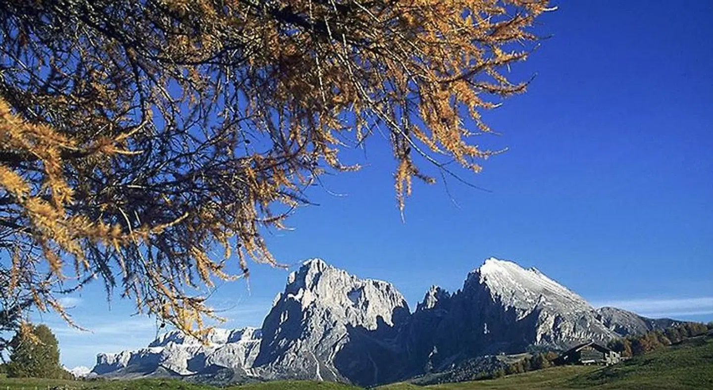 Villa Tanja LANDSCAPE