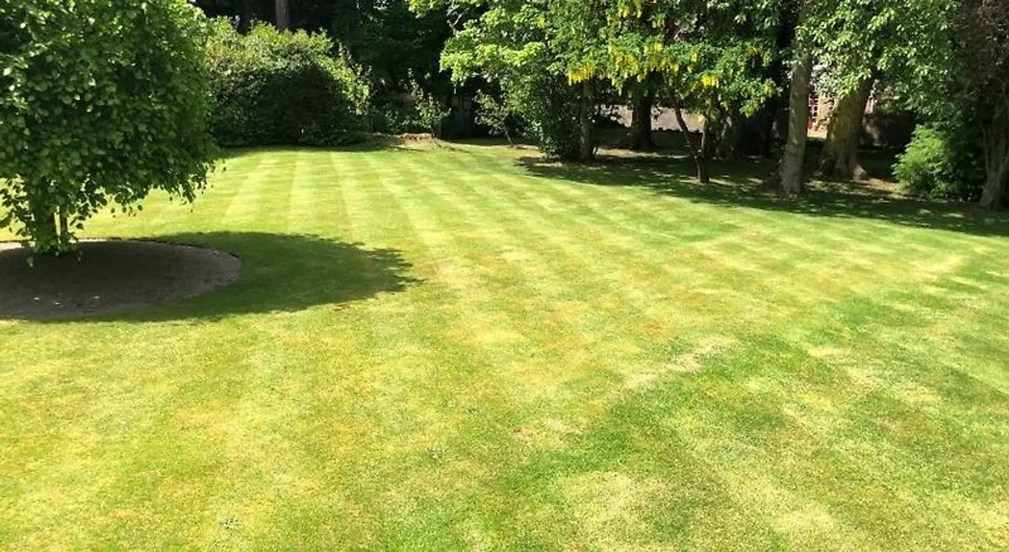 Rossal House Apartments Garten