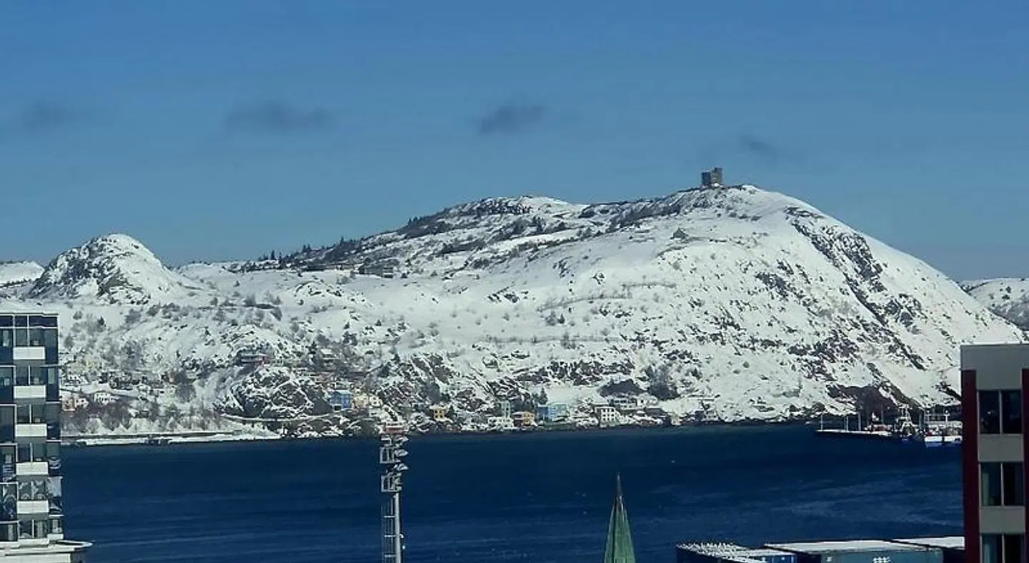 Hilton Garden Inn St. John's Newfoundland LANDSCAPE