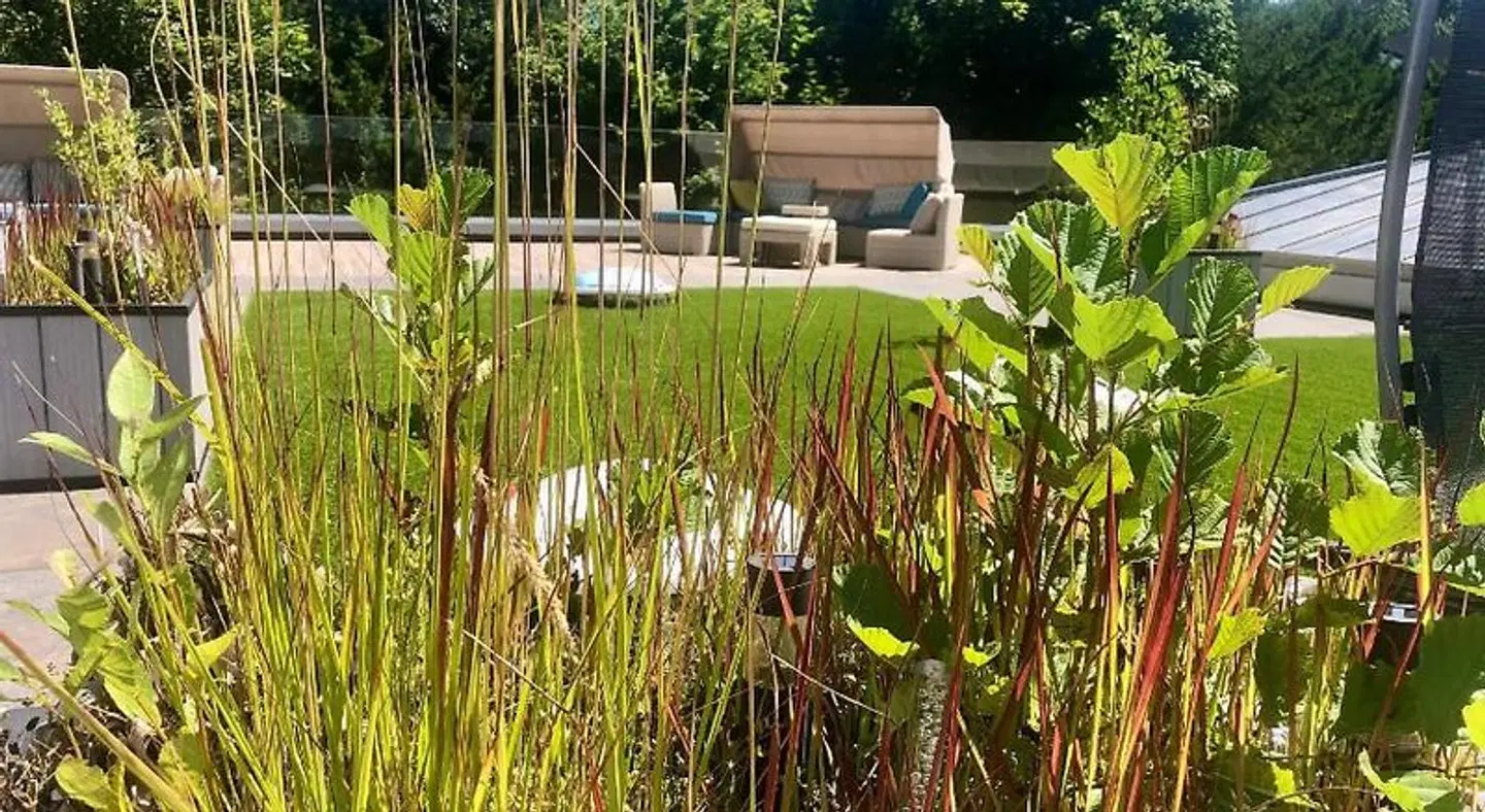 Best Western Plus Ostseehotel Waldschlösschen Garten