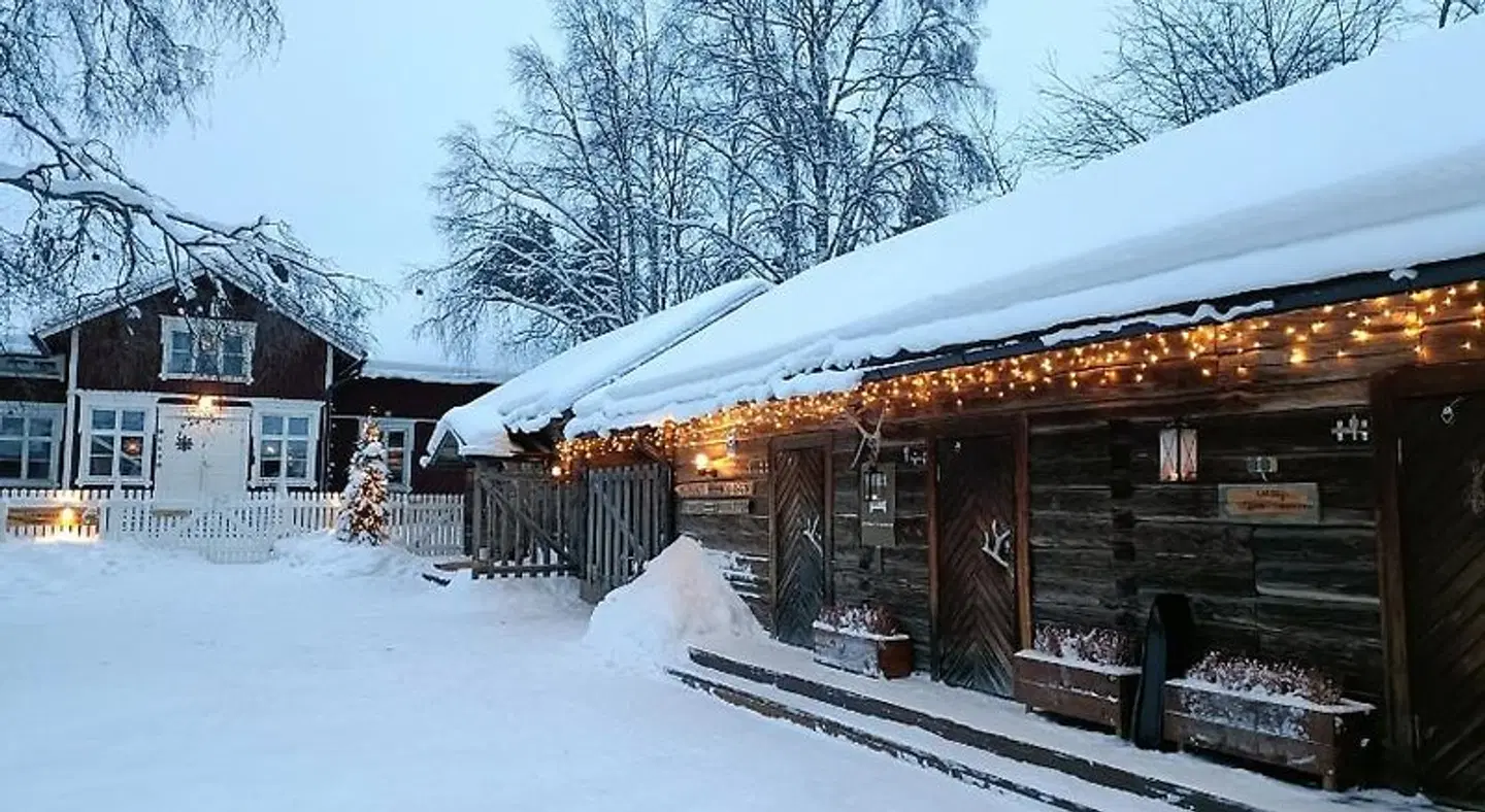 LAURI Historical Log House Manor Terrasse