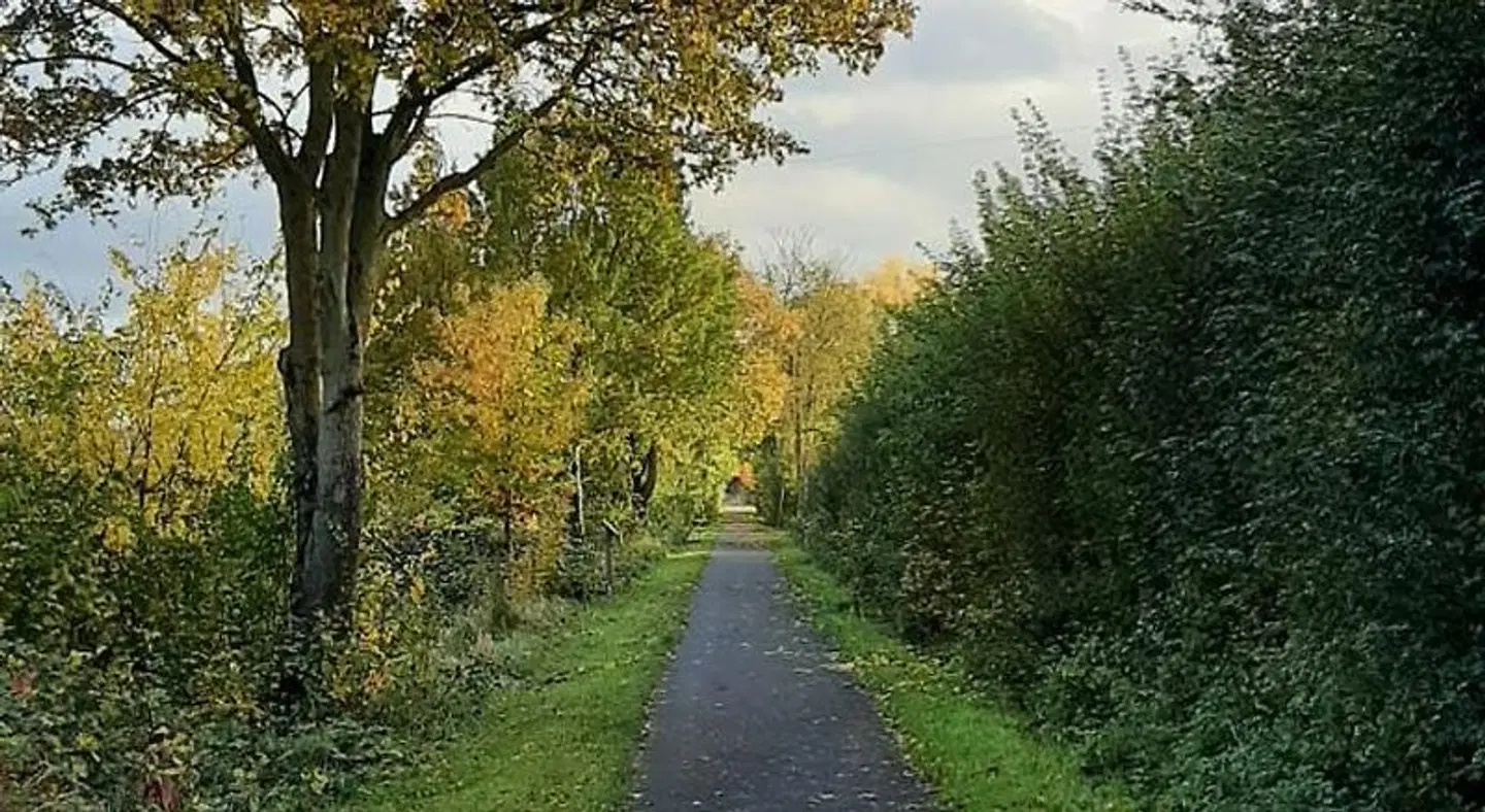 Landgasthof Zur scharfen Ecke Garten