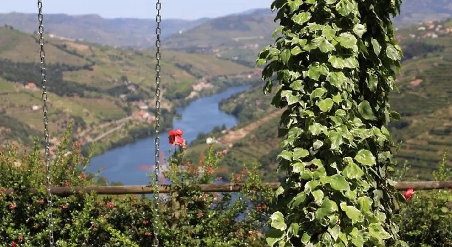 Casa Vale do Douro LANDSCAPE