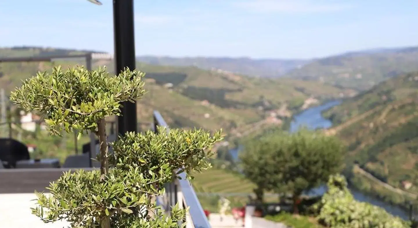 Casa Vale do Douro Garten